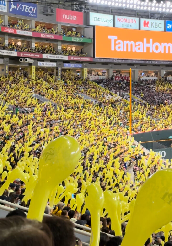 薬院のパーソナルジムオーナーの休日【ホークス鷹祭サマーブーストへ行ってきた】の画像